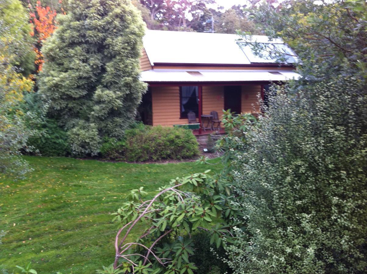 Lemonade Creek Cottages Lorne Exterior photo